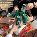 [캠핑일지] 충남 보령 용두해수욕장 숲속야영장 캠핑 후기