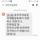 ※ 포항 국제불빛축제,,,취소 이미지