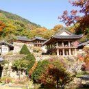 부석사 - 서산시 | 부석사