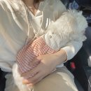 키토스스튜디오 네이버블로그