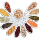 트리짐 트리태닝 이미지