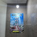 바다채 | 포항 영일대 횟집 바다채 솔직후기