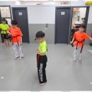 태비태권도 이미지