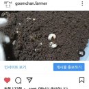 굼찬농장 이미지
