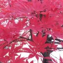 감악산산촌마을 이미지