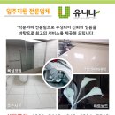 유니나 이미지