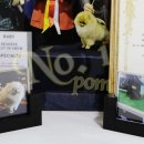 No.1 POM 이미지
