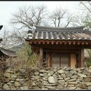 돌담 - 서귀포시 | 돌담