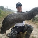 만식이네 이미지