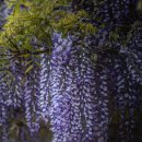 기준농장 이미지