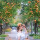 중앙여성 | 여름을 담다, 부천중앙공원 능소화 여성 인물스냅 촬영 후기