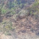 재동농장 이미지