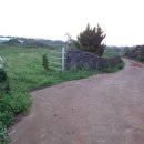 어도초등학교 이미지