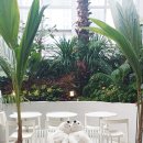 수원-1982 | [수원] 식물원1982 (수원 주차가능 카페, 레몬청 에이드, 아메리카노, 식물원 카페)