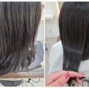 나니쌀롱 이미지