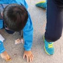 소답초등학교 이미지