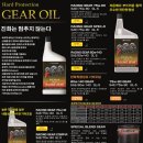 에이투지모터스 | BMW E39 530IS 엔진오일플러싱,엔진오일교환,디퍼런셜오일교환,포르텍 버전-S 5W40, 포르텍기어오일 75W140