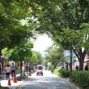 전북 전주 여행 가볼만한곳 수목원 동물원 포함 6군데