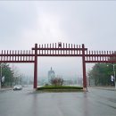 현충원 산책길 이미지