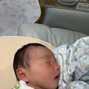신기선생님 | 강남차병원 제왕절개 최준식선생님 후기-1인실&2인실, 오후 수술, 4박5일