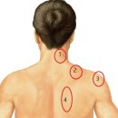 예소담한의원 이미지