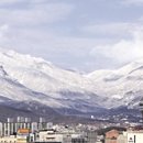 울산이불
