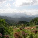 금수산펜션 이미지