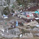 여우골