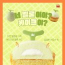 멜론뷰티