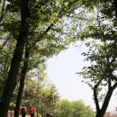 장미원 (산림욕장) 이미지