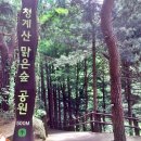 서울 청계산 맑은숲 공원 이미지