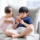 스마트 태권도 이미지