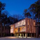 트리하우스 이미지