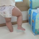 네오플렉스 | 여름 기저귀 추천, 얇고 흡수력 좋은 나비잠 울트라씬 듀얼핏 썸머 팬티 솔직 후기