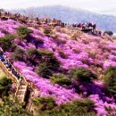 일원본-105 이미지