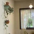 세은축사 이미지