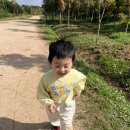 계양경기장 | 인천 계양 꽃마루 주차정보·위치·아이동반 후기 (코스모스 시즌 끝물 잡기!)
