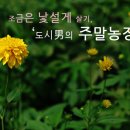 리언농장 이미지