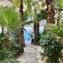 팜 | 포천 베이커리 카페 고모리 팜브릿지 방문 만족 후기