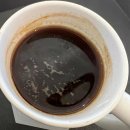 초보 가드너를 위한 여름 식물 인테리어 이미지