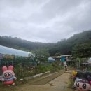 장현초등학교 | [남양주 안데르센정원] 서울근교 아이체험 추천 밤줍기·동물먹이주기·썰매까지 하루 꽉 채운 나들이
