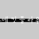 플라워채널