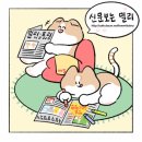 카카오 소속 연예인 &amp; 작가 &amp; 감독 모음.txt 이미지