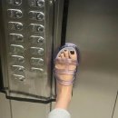 (주)텔파 이미지