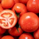 방울토마토 효과 몸에 어떤 변화가 이미지