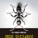 개미작은도서관 이미지