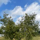 푸르른 농장 이미지