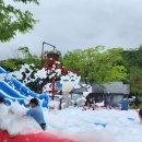 힐링애견 이미지