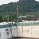 비봉산(포란사) 이미지