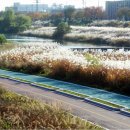 태성부분정비 이미지